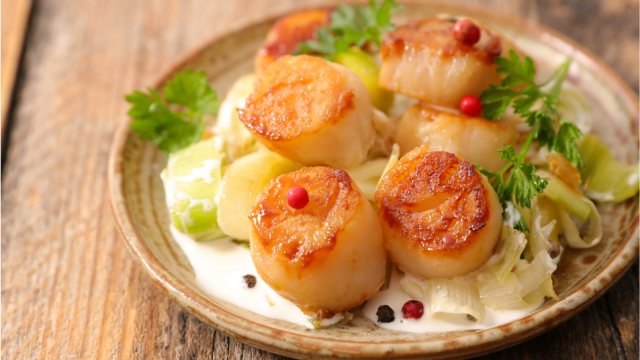 Scallops