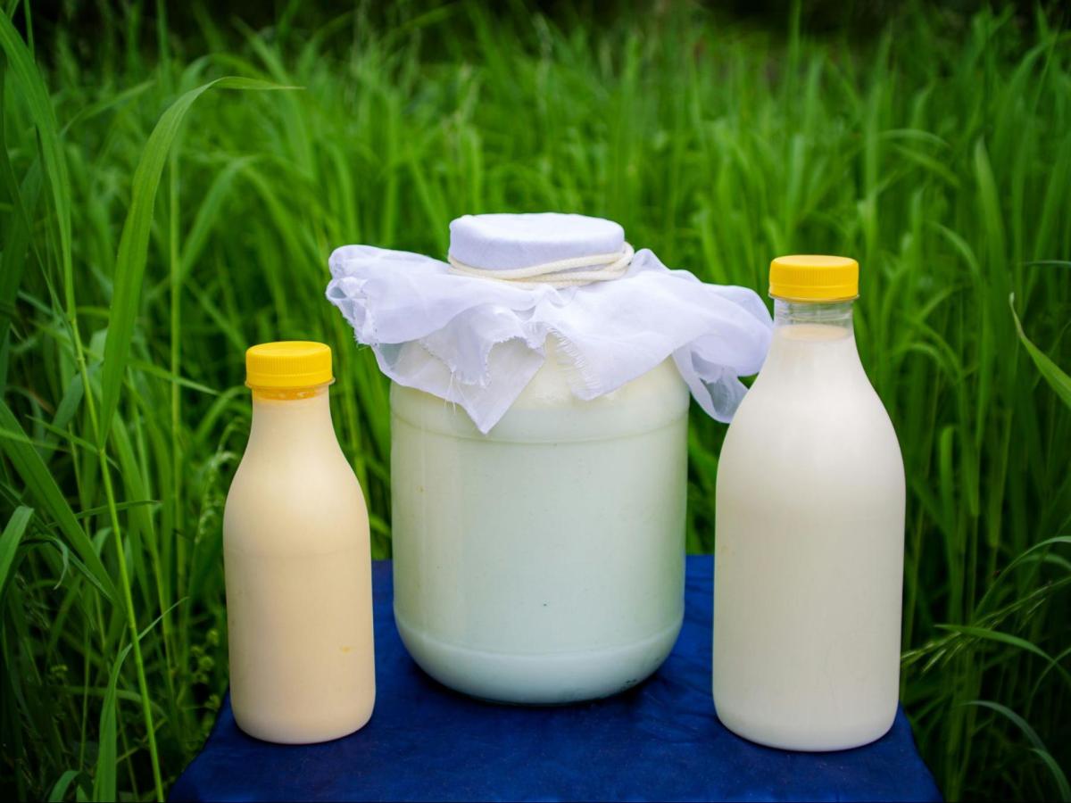 Gesalzene Butter: Der Liebesbrief der Bretonen