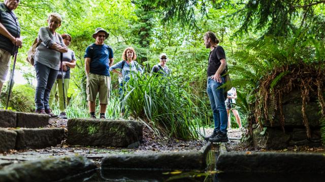 Loeil De Paco Pouldouran 38