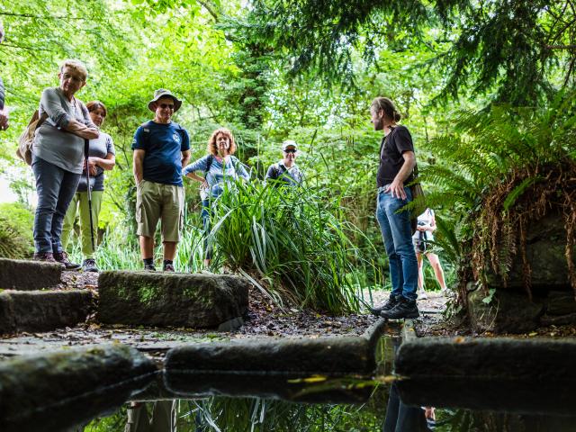 Loeil De Paco Pouldouran 38