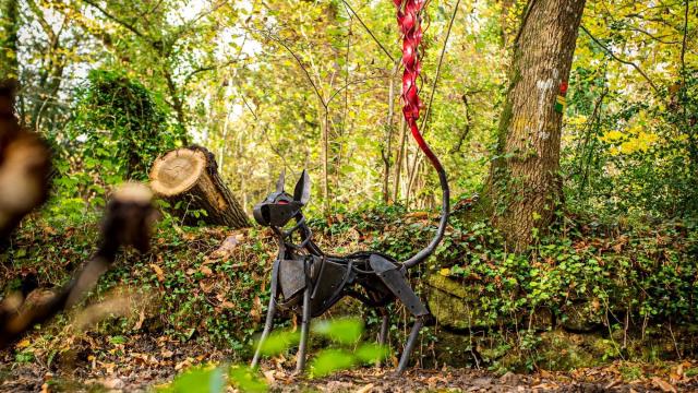 Autour De Luzel Station4 Chien Olivier Lhemann 1