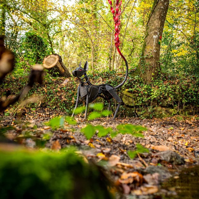 Autour De Luzel Station4 Chien Olivier Lhemann 1