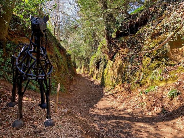 Autour De Luzel Station7 Detail Olivier Lhemann 1 1