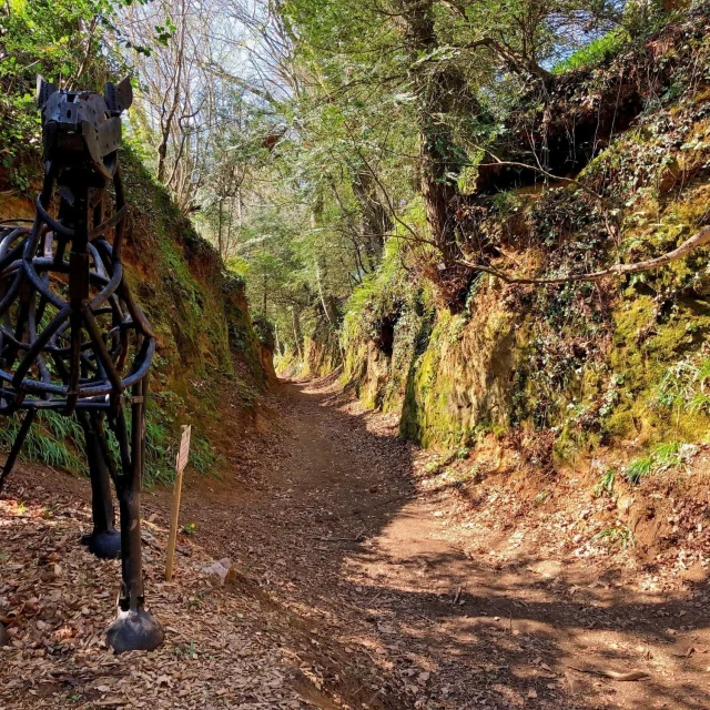 Autour De Luzel Station7 Detail Olivier Lhemann 1 1