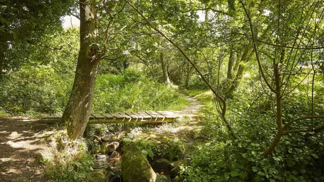 Vallee De Goas Lagorn