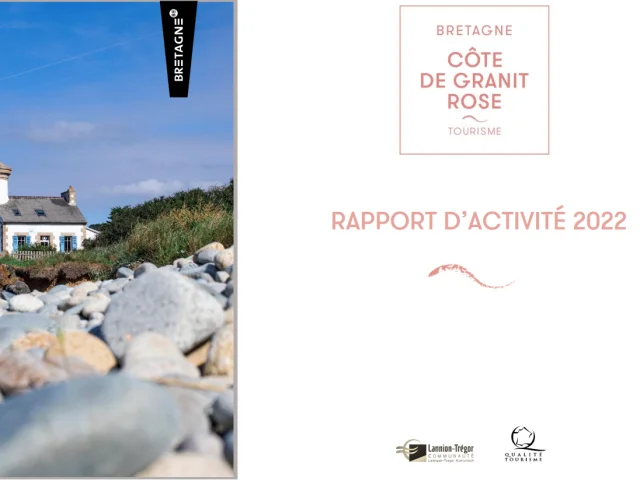 Rapport D Activite 2022