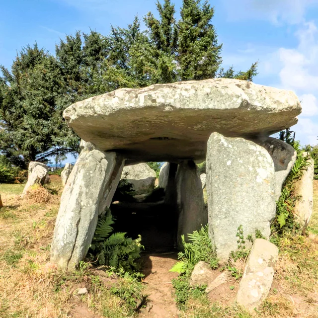 Allee Couverte De Lile Grande 2