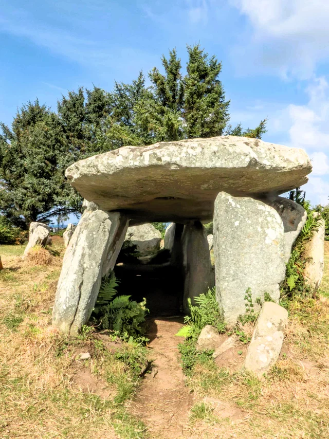 Allee Couverte De Lile Grande 2