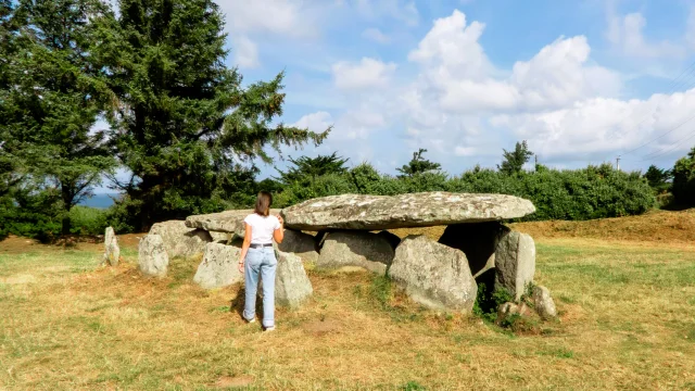 Allee Couverte De Lile Grande