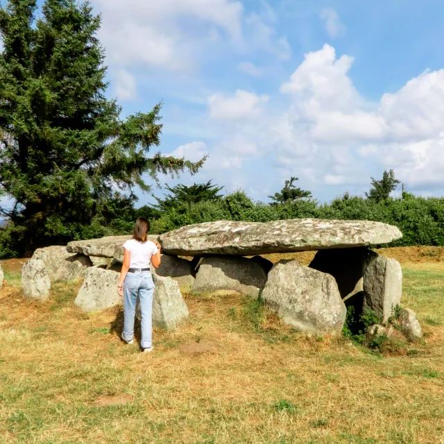 Allée couverte de L'Ile Grande - Pleumeur-Bodou