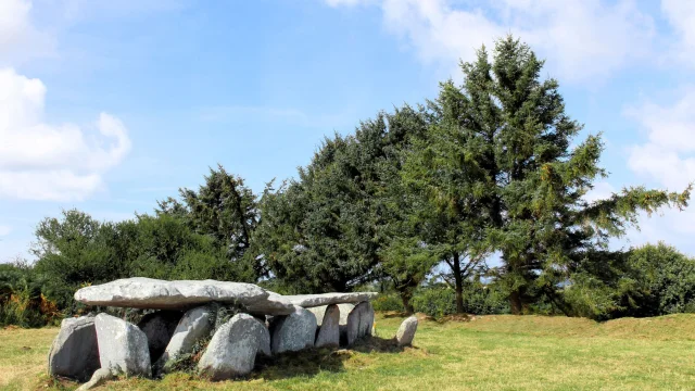 Allee Couverte De Lile Grande Noemie Parlouer 2