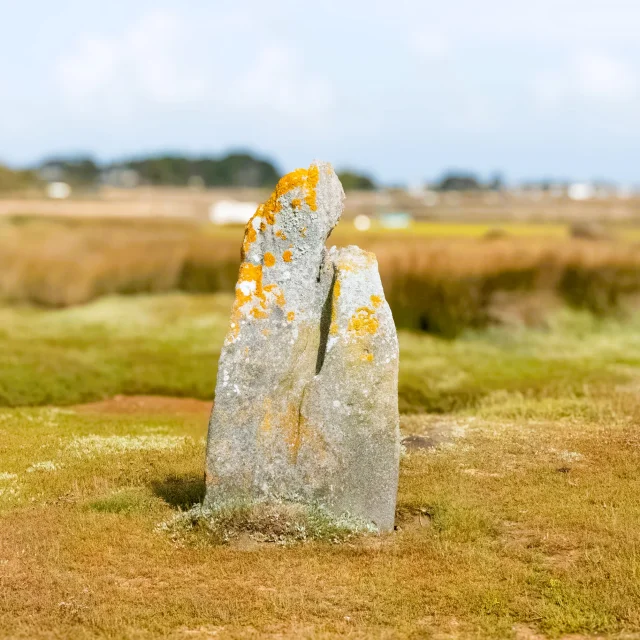 Menhir De Toeno