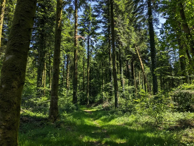 Pxl 20240602 120711071