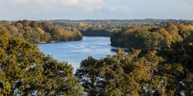 Pxl 20241017 163027439