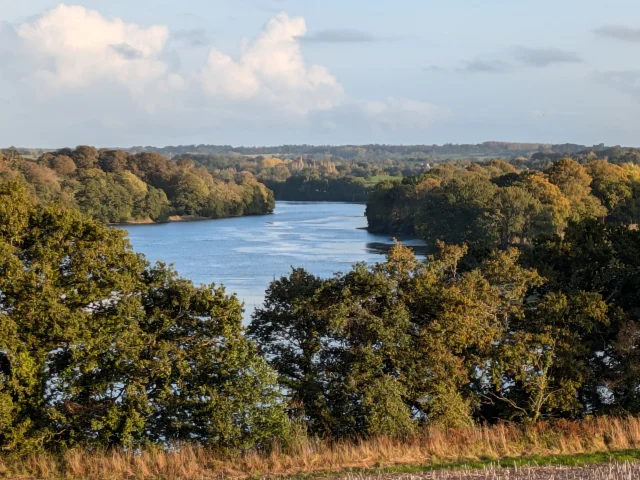 Pxl 20241017 163027439