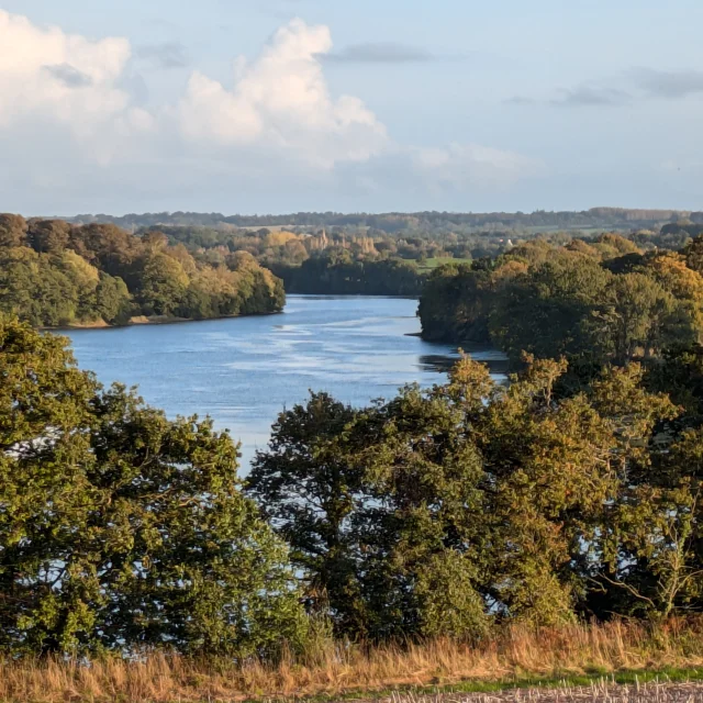 Pxl 20241017 163027439