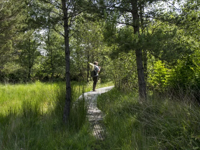 Reserve De Plounerin