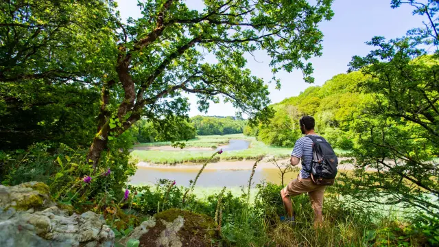 Un randonneur devant les méandres d'un fleuve côtier breton Le Douron