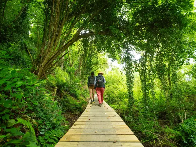 Des randonneurs marchent le long d'une rivière