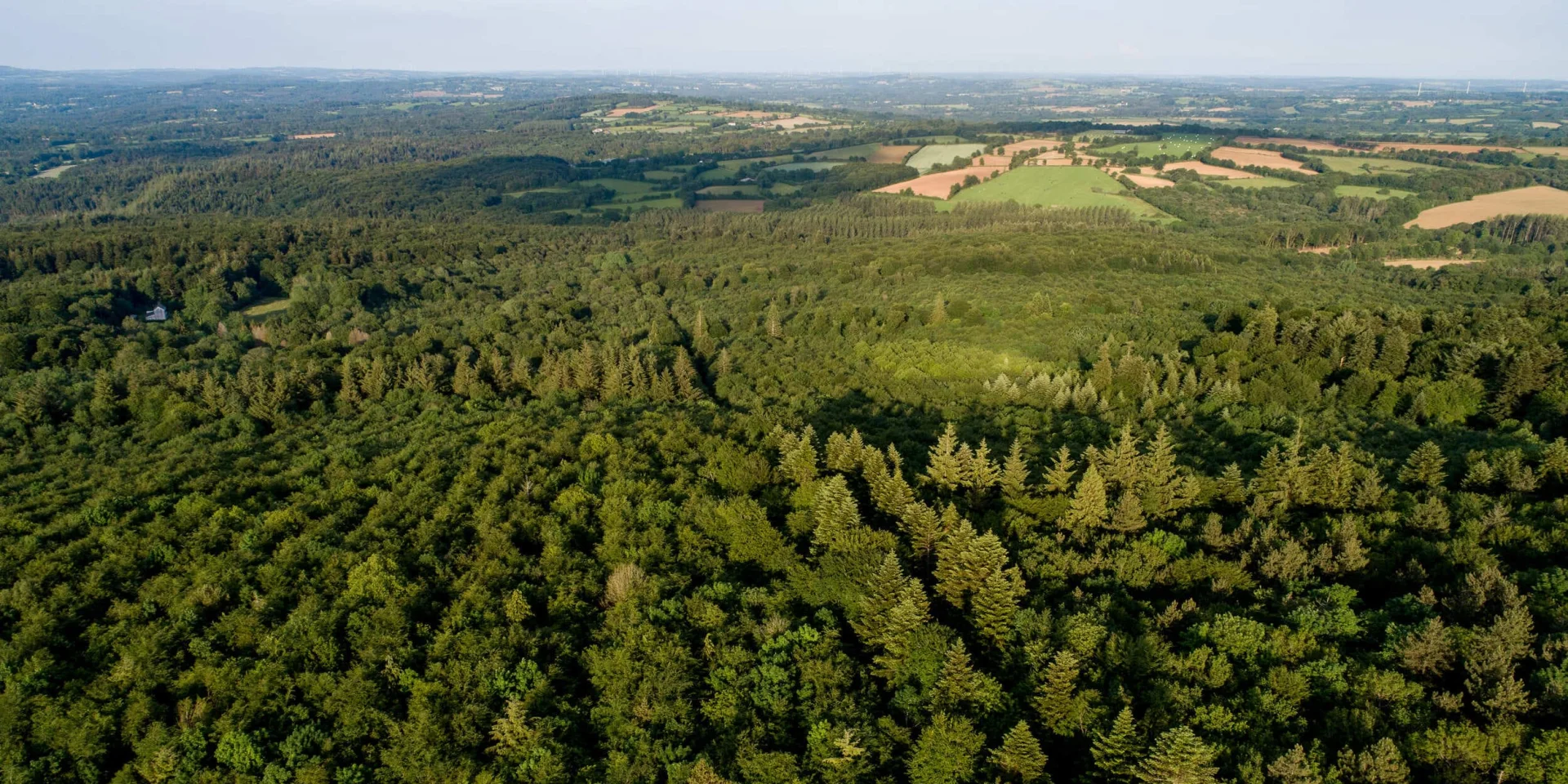 Unz forêt survolée