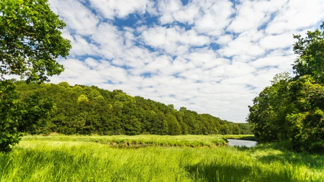 Le Douron Plestin De St Haran Vers Toul An Hery Pelikul 2024 81 1