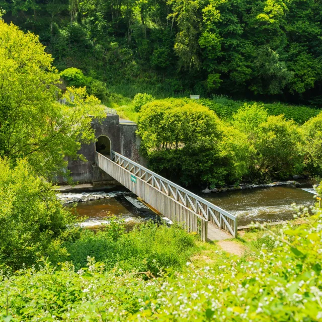 Kernansquillec Pelikul 2024