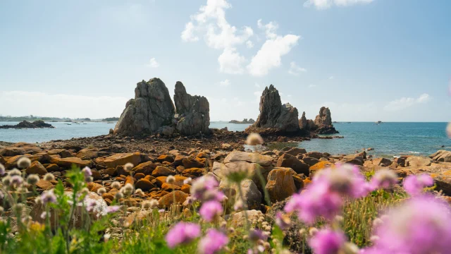 265 Cote De Granit Rose 2024 Hd
