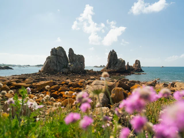 265 Cote De Granit Rose 2024 Hd