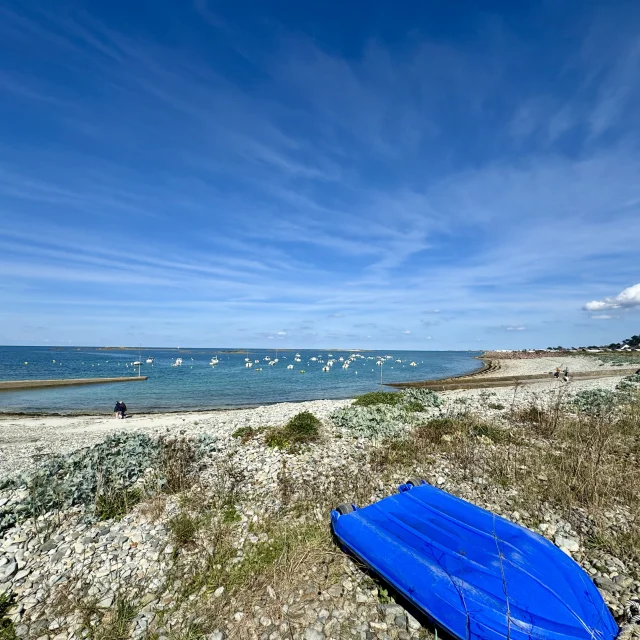 Port Lepine Trelevern 1