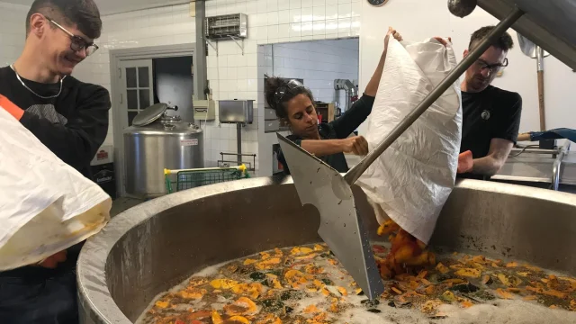 473154849 1108125367771785 5680684557535767780 N