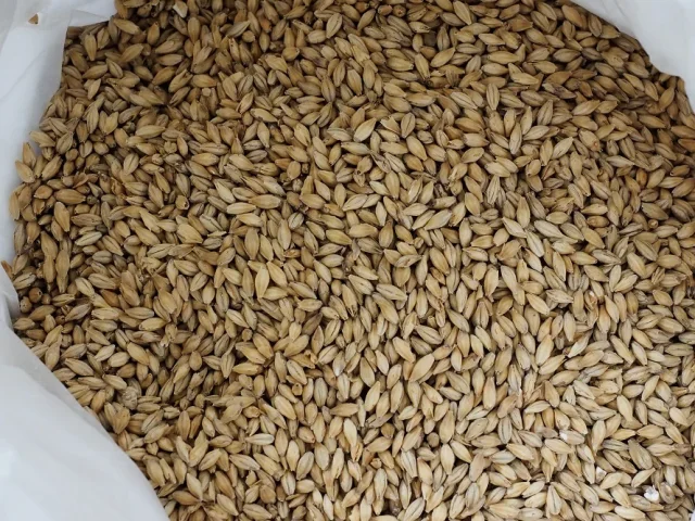 OLYMPUS DIGITALKAMERA