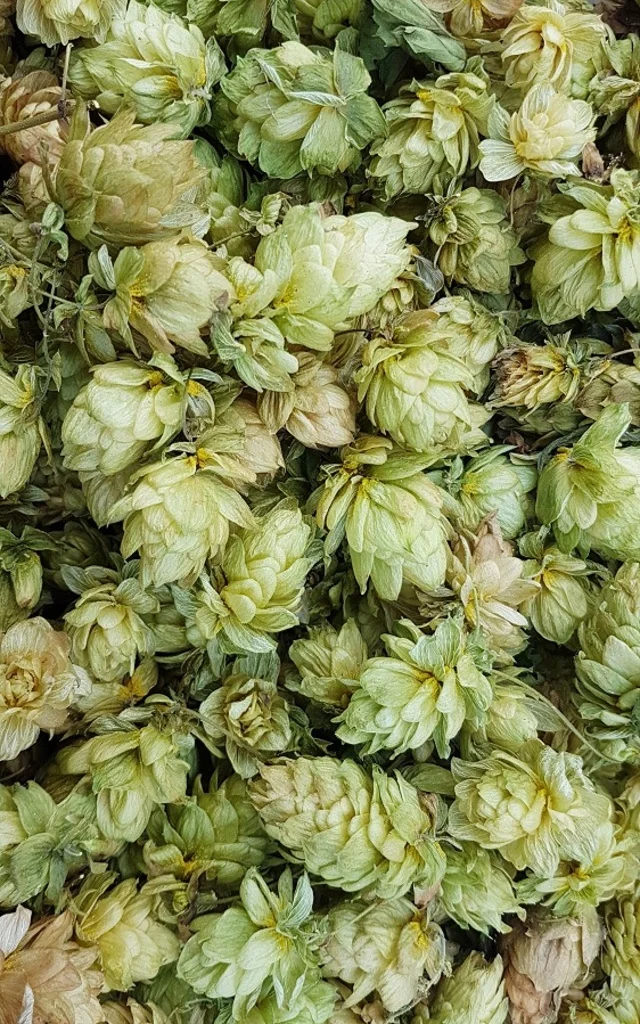 Brauerei Kerampont 42