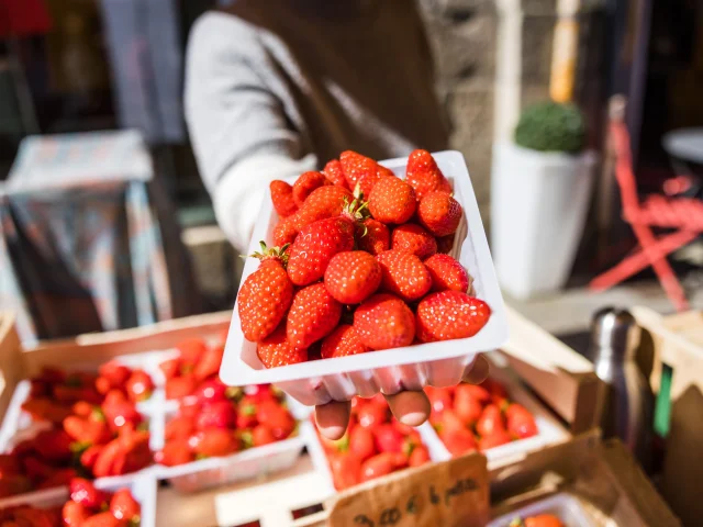 Une barquette de fraises tenue par un marchand du marché de Lannion