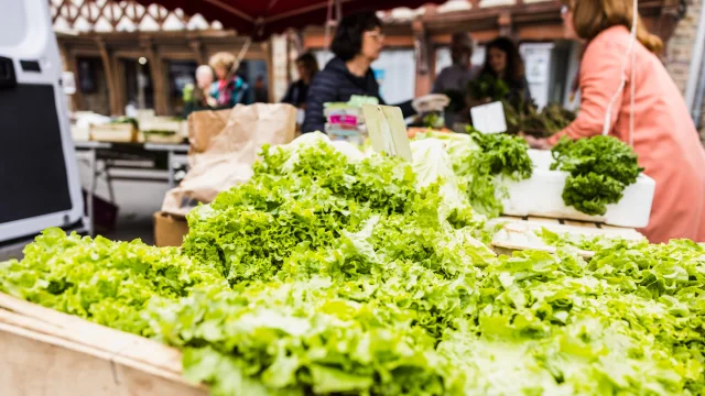 Loeil De Paco Marche Treguier 2022 19