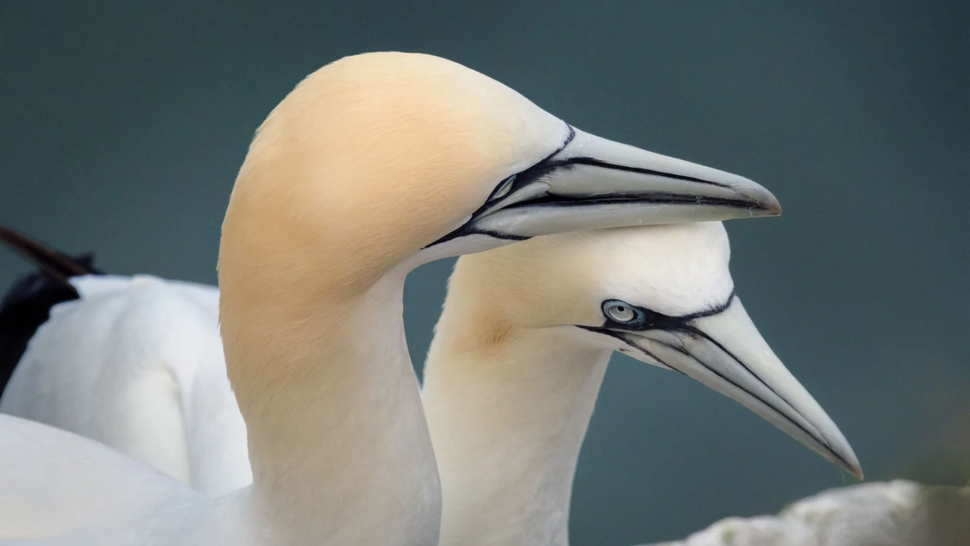 Cotes Armor Fabien Coisy10