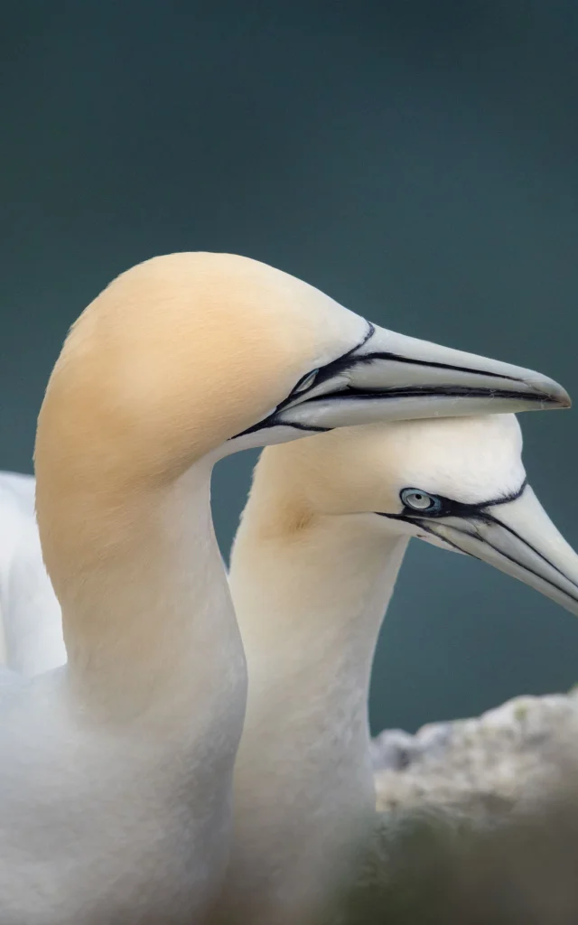 Cotes Armor Fabien Coisy10