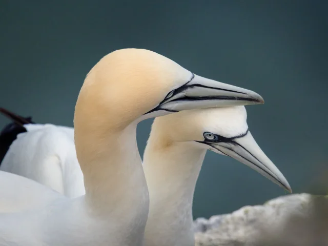 Cotes Armor Fabien Coisy10