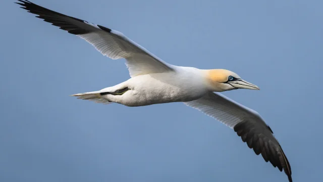 Cotes Armor Fabien Coisy9