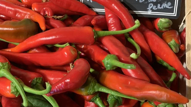La Ferme De Keredern Piment