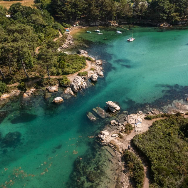 Crtb Ae07906 Poriel Thibault