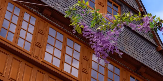 Visite guidée de Lannion et de son patrimoine avec un groupe