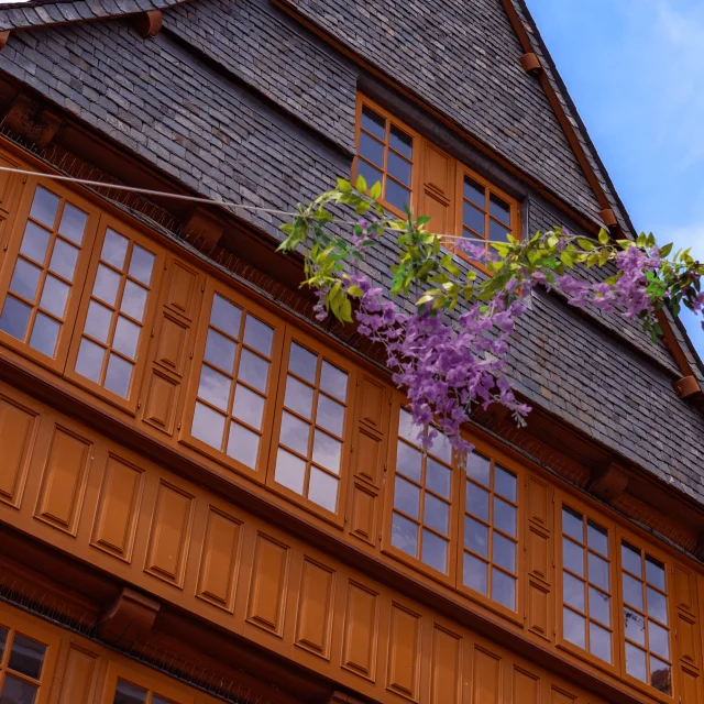 Visite guidée de Lannion et de son patrimoine avec un groupe