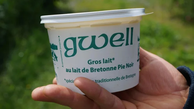 Le Gwell