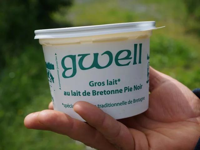 Le Gwell