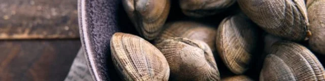 Stuffed clams 3 691x1024 1