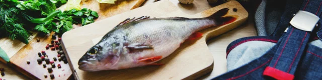 Pexels Kseniachernaya 3952075