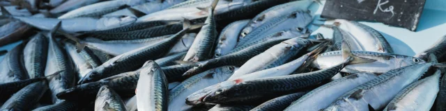 Pexels Nadine Ginzel 80607840 20121107