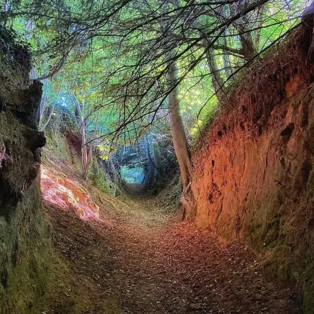 Instagram #cotedegranitrose