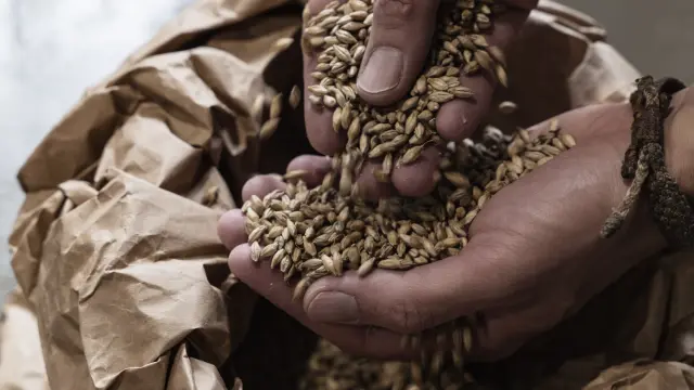Visite de la brasserie Warenghem