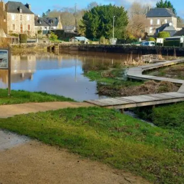 Étang entouré d'herbe à côté d'habitations avec un ponton en bois